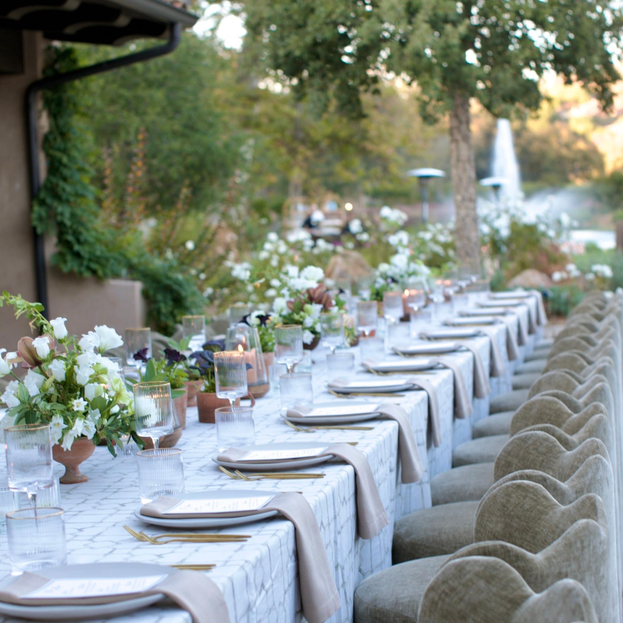 Canopy Stripe Chair for Weddings and Events | Folklore Event Rentals