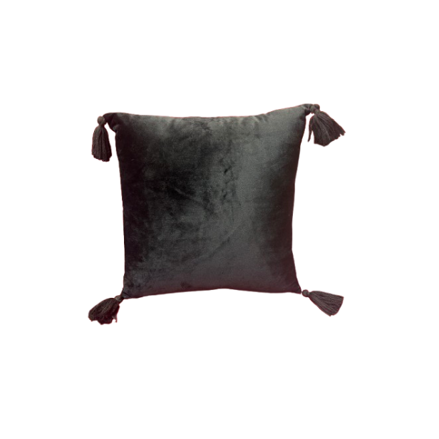 Black Tassel Pillow