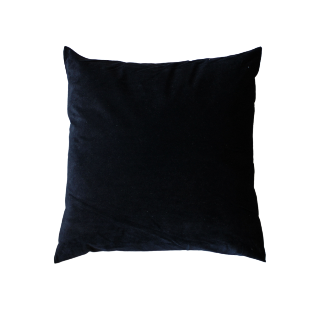 Black Velvet Pillow